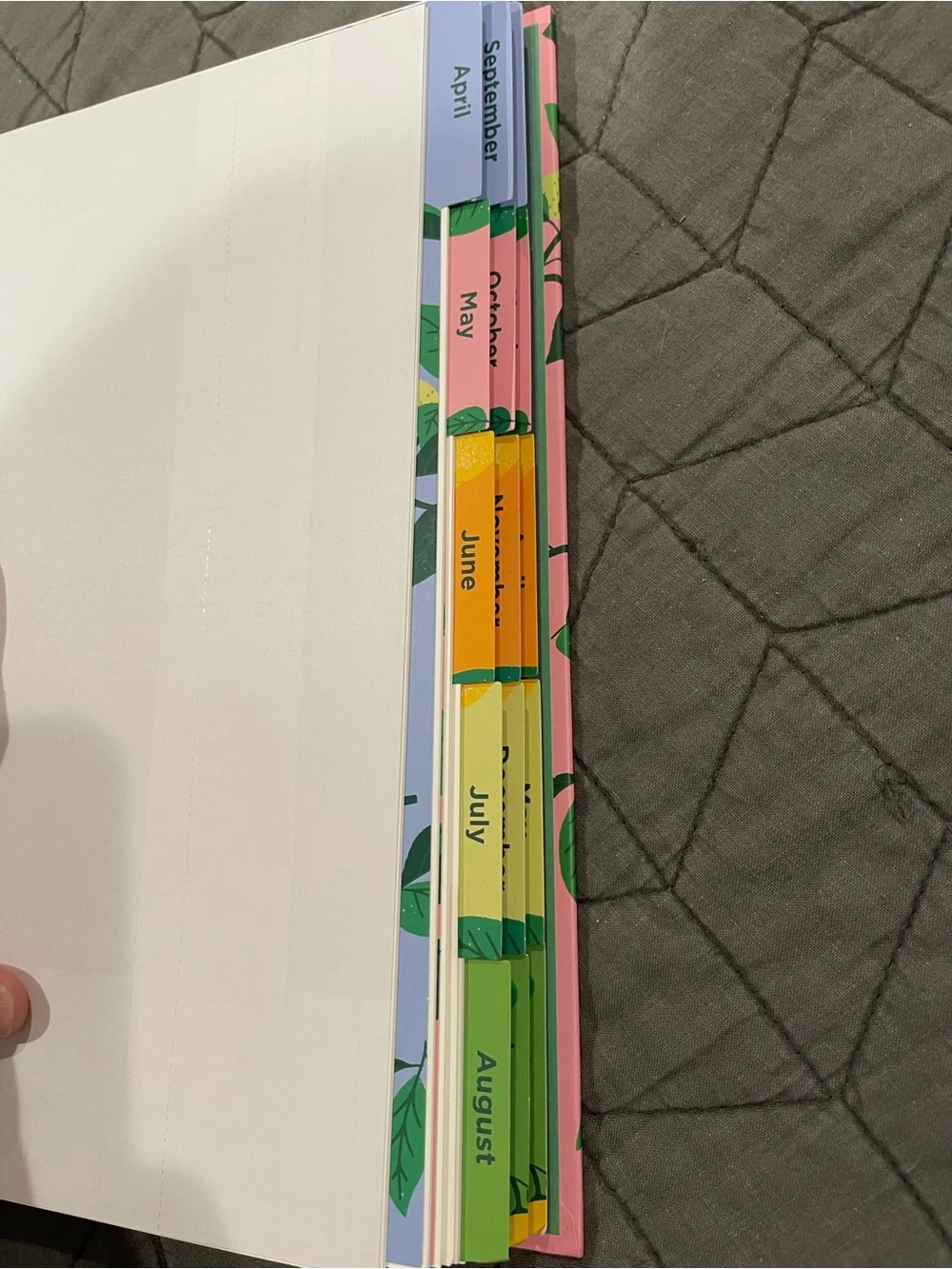 Pulsar 2026-2027 Weekly Planner Pink/Lemon Design New